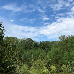 Photo of UNDER CONTRACT!  16 Acres of Hunting and Recreational Land For Sale in Warren County NC!
