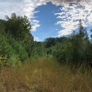 Photo of UNDER CONTRACT!  16 Acres of Hunting and Recreational Land For Sale in Warren County NC!