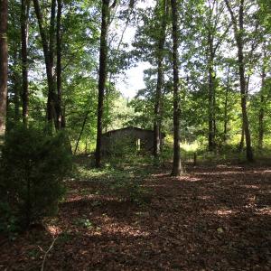 Photo of UNDER CONTRACT!  16 Acres of Hunting and Recreational Land For Sale in Warren County NC!