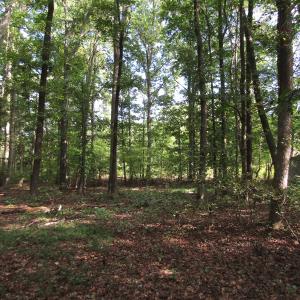 Photo of UNDER CONTRACT!  16 Acres of Hunting and Recreational Land For Sale in Warren County NC!