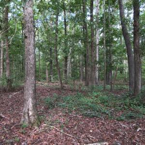 Photo of UNDER CONTRACT!  16 Acres of Hunting and Recreational Land For Sale in Warren County NC!