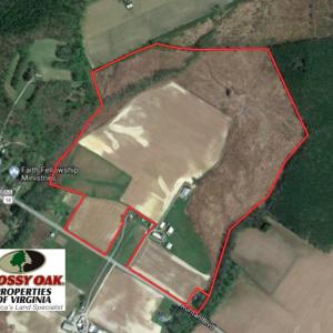 Photo of UNDER CONTRACT!  118 Acres of Farm and Timber Land For Sale in Suffolk VA!