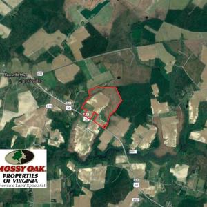 Photo of UNDER CONTRACT!  118 Acres of Farm and Timber Land For Sale in Suffolk VA!