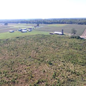 Photo of UNDER CONTRACT!  118 Acres of Farm and Timber Land For Sale in Suffolk VA!