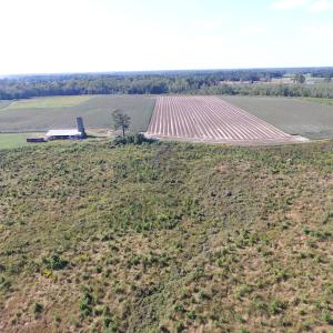 Photo of UNDER CONTRACT!  118 Acres of Farm and Timber Land For Sale in Suffolk VA!