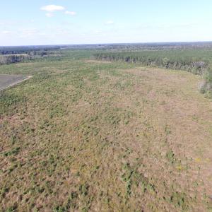 Photo of UNDER CONTRACT!  118 Acres of Farm and Timber Land For Sale in Suffolk VA!