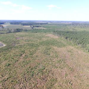 Photo of UNDER CONTRACT!  118 Acres of Farm and Timber Land For Sale in Suffolk VA!