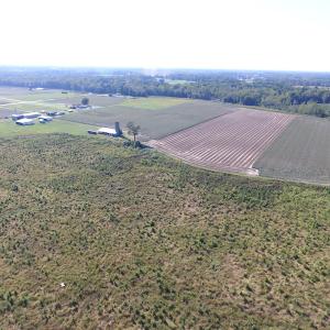 Photo of UNDER CONTRACT!  118 Acres of Farm and Timber Land For Sale in Suffolk VA!