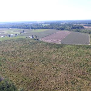 Photo of UNDER CONTRACT!  118 Acres of Farm and Timber Land For Sale in Suffolk VA!