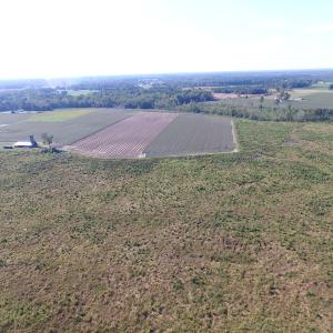 Photo of UNDER CONTRACT!  118 Acres of Farm and Timber Land For Sale in Suffolk VA!