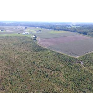 Photo of UNDER CONTRACT!  118 Acres of Farm and Timber Land For Sale in Suffolk VA!