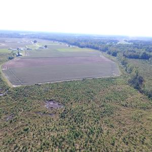 Photo of UNDER CONTRACT!  118 Acres of Farm and Timber Land For Sale in Suffolk VA!