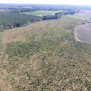 Photo of UNDER CONTRACT!  118 Acres of Farm and Timber Land For Sale in Suffolk VA!