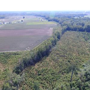 Photo of UNDER CONTRACT!  118 Acres of Farm and Timber Land For Sale in Suffolk VA!