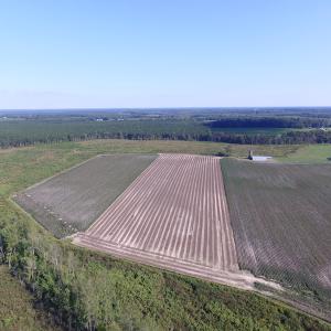 Photo of UNDER CONTRACT!  118 Acres of Farm and Timber Land For Sale in Suffolk VA!