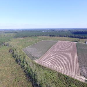 Photo of UNDER CONTRACT!  118 Acres of Farm and Timber Land For Sale in Suffolk VA!