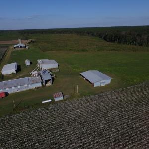 Photo of UNDER CONTRACT!  118 Acres of Farm and Timber Land For Sale in Suffolk VA!