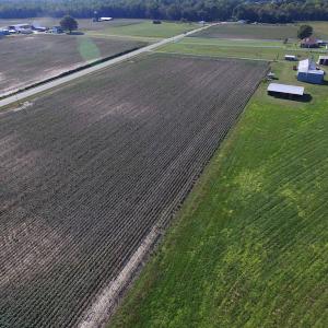 Photo of UNDER CONTRACT!  118 Acres of Farm and Timber Land For Sale in Suffolk VA!