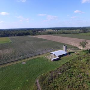 Photo of UNDER CONTRACT!  118 Acres of Farm and Timber Land For Sale in Suffolk VA!
