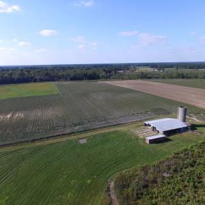 Photo of UNDER CONTRACT!  118 Acres of Farm and Timber Land For Sale in Suffolk VA!