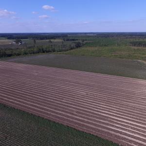 Photo of UNDER CONTRACT!  118 Acres of Farm and Timber Land For Sale in Suffolk VA!