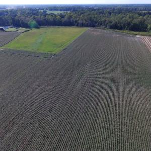 Photo of UNDER CONTRACT!  118 Acres of Farm and Timber Land For Sale in Suffolk VA!