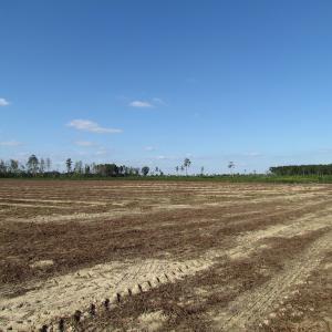 Photo of UNDER CONTRACT!  118 Acres of Farm and Timber Land For Sale in Suffolk VA!
