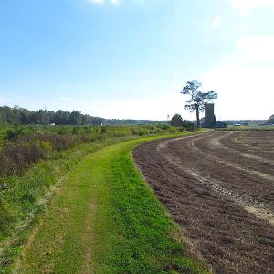Photo of UNDER CONTRACT!  118 Acres of Farm and Timber Land For Sale in Suffolk VA!