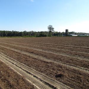 Photo of UNDER CONTRACT!  118 Acres of Farm and Timber Land For Sale in Suffolk VA!