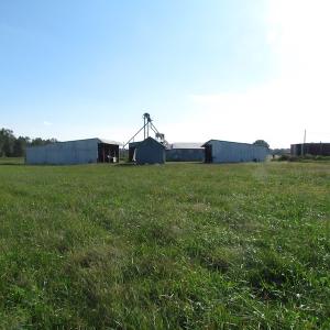 Photo of UNDER CONTRACT!  118 Acres of Farm and Timber Land For Sale in Suffolk VA!