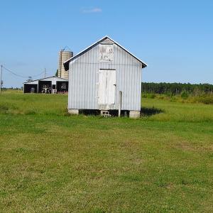 Photo of UNDER CONTRACT!  118 Acres of Farm and Timber Land For Sale in Suffolk VA!