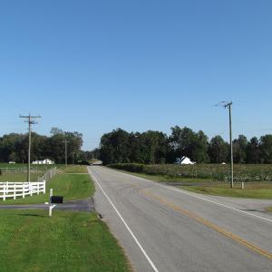 Photo of UNDER CONTRACT!  118 Acres of Farm and Timber Land For Sale in Suffolk VA!