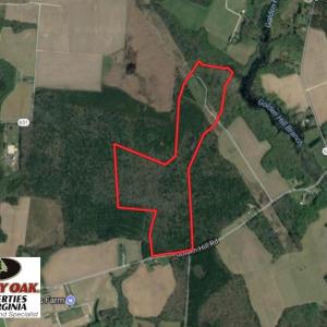 Photo of UNDER CONTRACT!  104 Acres of Hunting and Timber Land For Sale in Surry County VA!