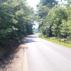 Photo of UNDER CONTRACT!  104 Acres of Hunting and Timber Land For Sale in Surry County VA!
