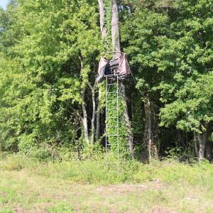 Photo of UNDER CONTRACT!  104 Acres of Hunting and Timber Land For Sale in Surry County VA!