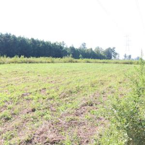 Photo of UNDER CONTRACT!  104 Acres of Hunting and Timber Land For Sale in Surry County VA!