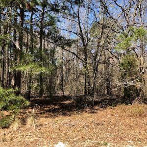 Photo of UNDER CONTRACT!  11.77 Acres of Residential and Hunting land for Sale in Harnett County, NC!