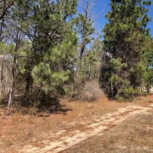 Photo of UNDER CONTRACT!  11.77 Acres of Residential and Hunting land for Sale in Harnett County, NC!