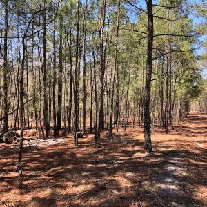 Photo of UNDER CONTRACT!  11.77 Acres of Residential and Hunting land for Sale in Harnett County, NC!