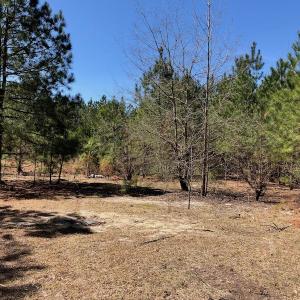 Photo of UNDER CONTRACT!  11.77 Acres of Residential and Hunting land for Sale in Harnett County, NC!