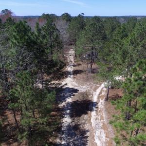 Photo of UNDER CONTRACT!  11.77 Acres of Residential and Hunting land for Sale in Harnett County, NC!