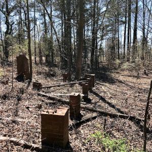 Photo of UNDER CONTRACT!  11.77 Acres of Residential and Hunting land for Sale in Harnett County, NC!