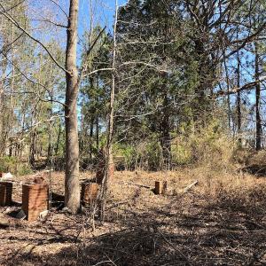 Photo of UNDER CONTRACT!  11.77 Acres of Residential and Hunting land for Sale in Harnett County, NC!