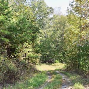 Photo of UNDER CONTRACT!  5 Acres of Residential Waterfront Land For Sale in Bedford County VA!