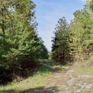 Photo of UNDER CONTRACT!  5 Acres of Residential Waterfront Land For Sale in Bedford County VA!