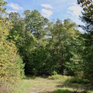 Photo of UNDER CONTRACT!  5 Acres of Residential Waterfront Land For Sale in Bedford County VA!