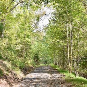 Photo of UNDER CONTRACT!  5 Acres of Residential Waterfront Land For Sale in Bedford County VA!