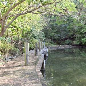 Photo of UNDER CONTRACT!  5 Acres of Residential Waterfront Land For Sale in Bedford County VA!