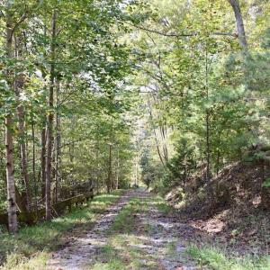 Photo of UNDER CONTRACT!  5 Acres of Residential Waterfront Land For Sale in Bedford County VA!