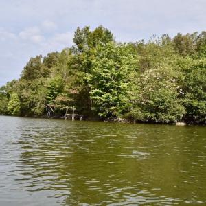 Photo of UNDER CONTRACT!  5 Acres of Residential Waterfront Land For Sale in Bedford County VA!